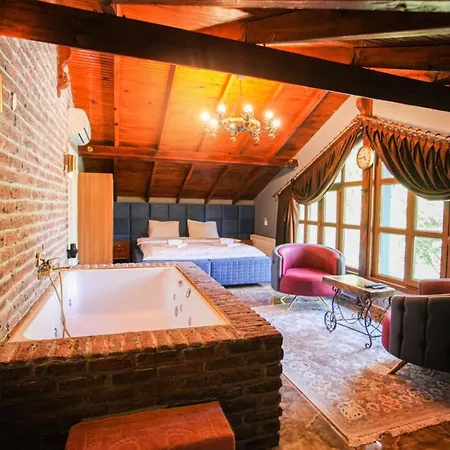 Fascinating Villa With Private Pool And Jacuzzi In Sapanca * Sakarya (Marmara)